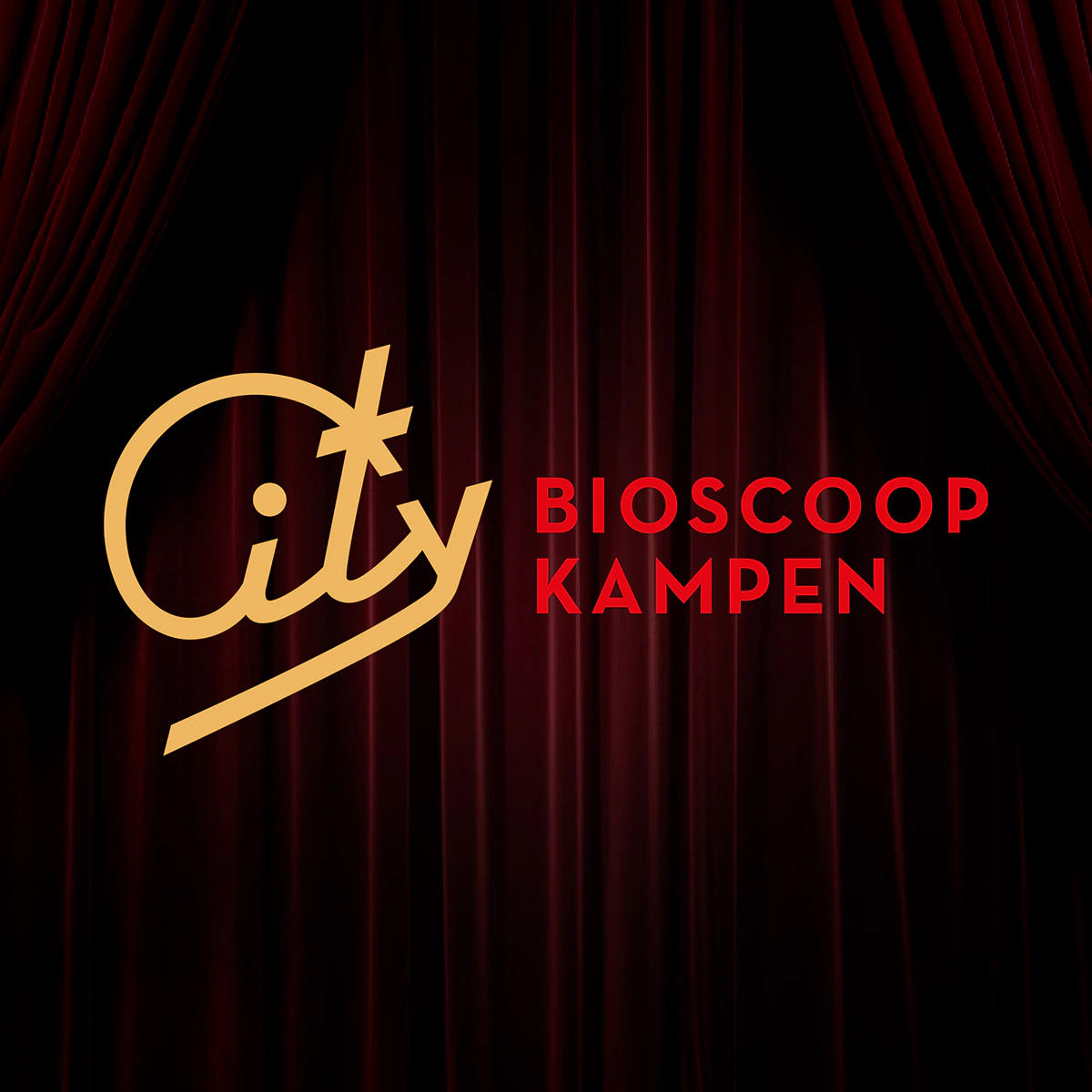 Logo en huisstijl City Bioscoop Kampen