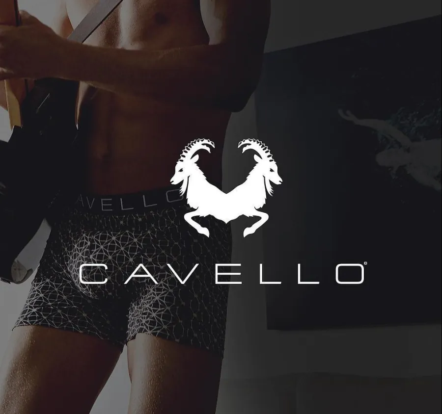 Logo en huisstijl Cavello